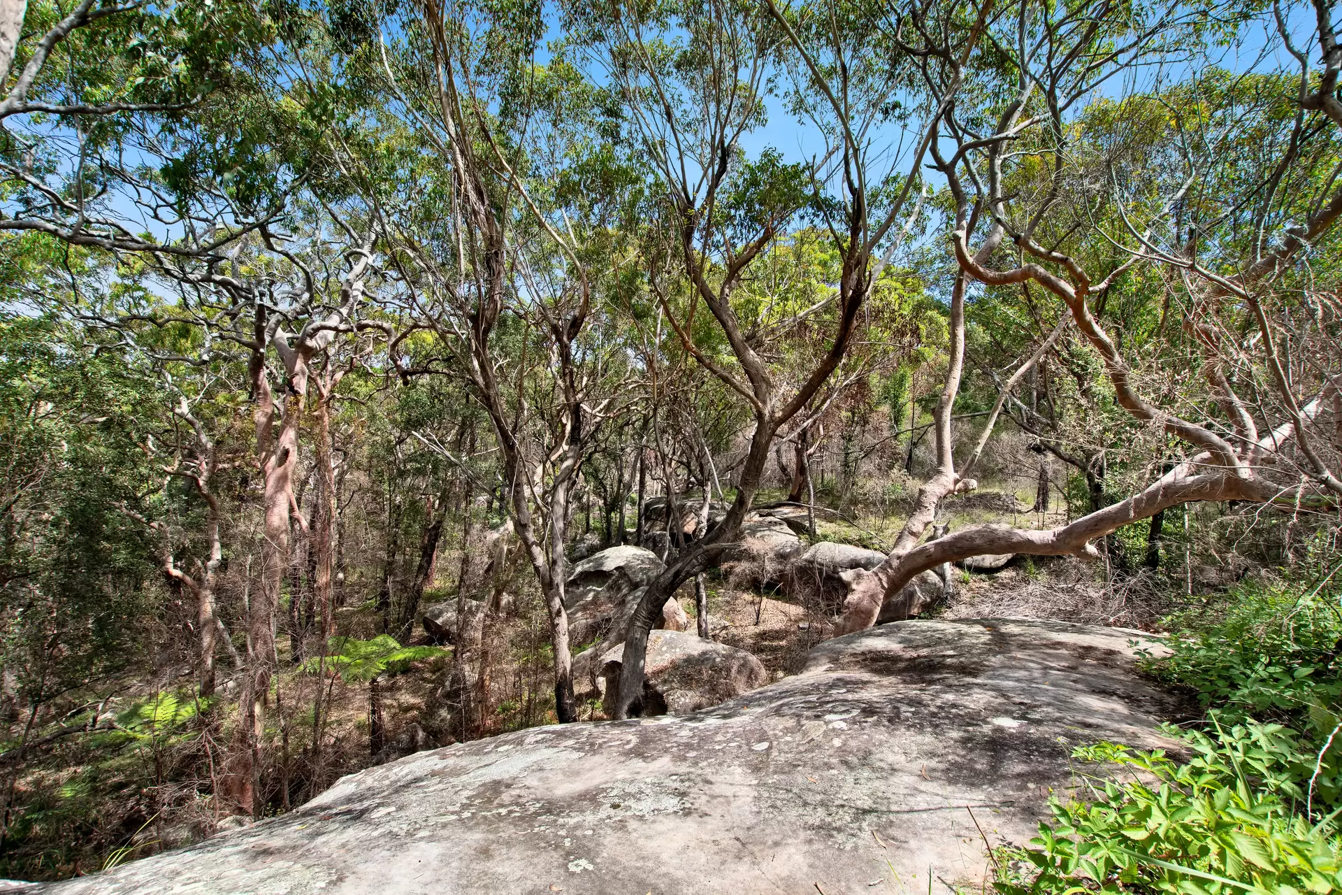 28 Wattle Crescent, Phegans Bay Sold by Central Coast Agents - image 1